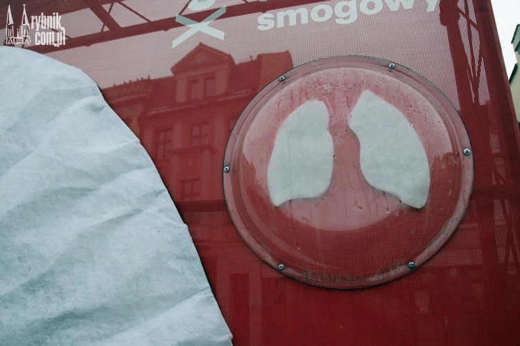Rybnik: antysmogowe płuca już stoją na rynku, Bartłomiej Furmanowicz