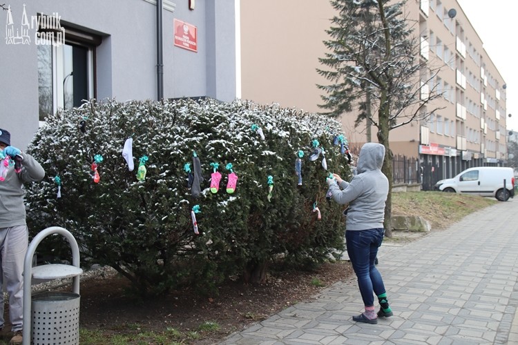 Kościuszki: zamiast liści na drzewach pojawiły się... skarpetki, Paulina Nowak