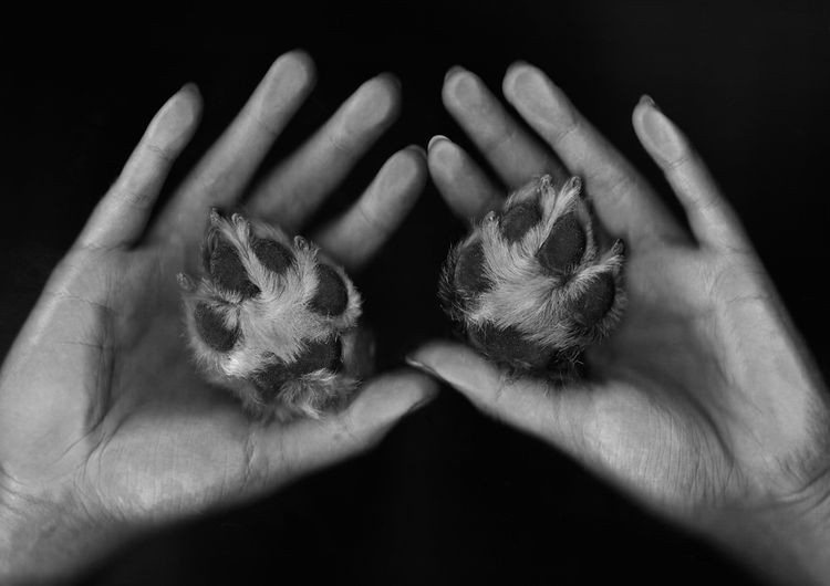 „Kocham zwierzęta, bo…” - podsumowanie konkursu fotograficznego w DK Niewiadom, Ewelina Witek