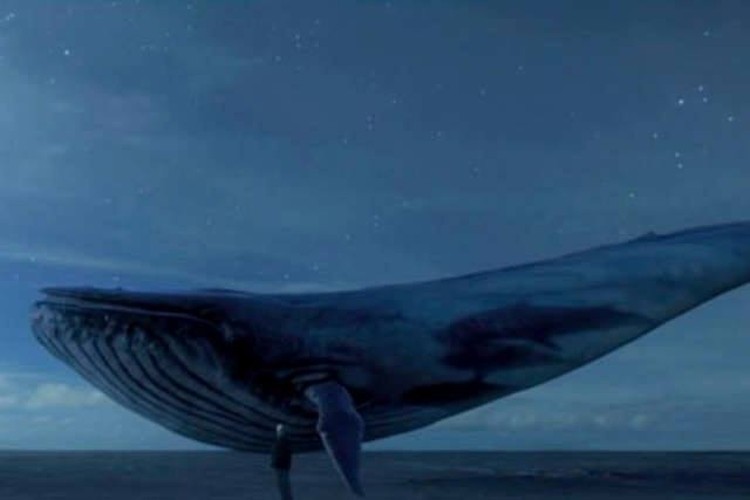 Rybnickie szkoły alarmują przed „Niebieskim wielorybem”. Groźna gra czy medialna panika?, Facebook