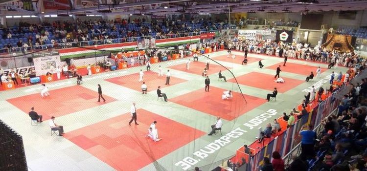 Judo: srebrny medal D. Szulika w Budapeszcie, Materiały prasowe