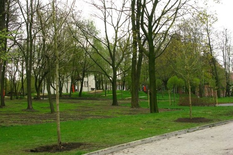 Park tematyczny wzbogacił się o 40 platanów. Miasto zapowiada 1000 nowych drzew, Lucyna Tyl/UM Rybnik