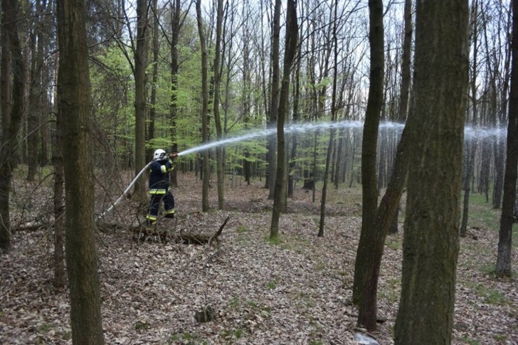 Czytelnicy alarmują: „strażacy jechali w stronę Rud. Czy pali się las”? To ćwiczenia, OSP Gaszowice