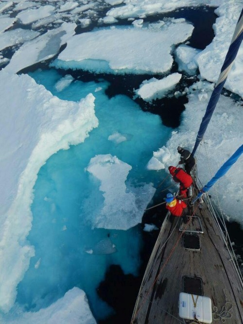 Rybniccy żeglarze przedzierali się przez lód na oceanie. Zdjęcia robią wrażenie, Ocean H2O Rybnik