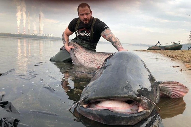 Ponad 2,5-metrowa ryba wyłowiona z zalewu. To nie sum, a „wieloryb”!, Facebook