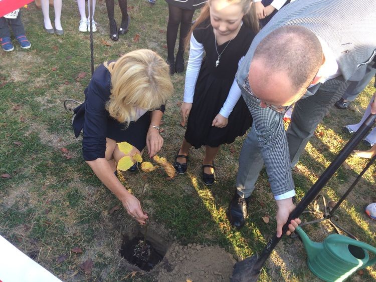 DEN w ZS-P nr 2. Wiceprezydent zasadził drzewko, ZS-P nr 2 w Rybniku
