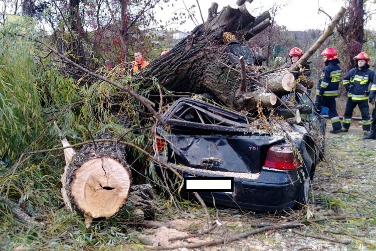 Wieje w regionie, drzewo zniszczyło samochód, KMPSP Rybnik