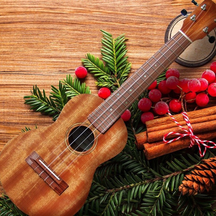 Halo! Rybnik: świąteczne warsztaty i kolędy z ukulele, Materiały prasowe