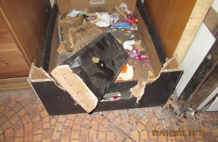 Spalanie odpadów w Niedobczycach. Sprawca ukarany, Straż Miejska Rybnik