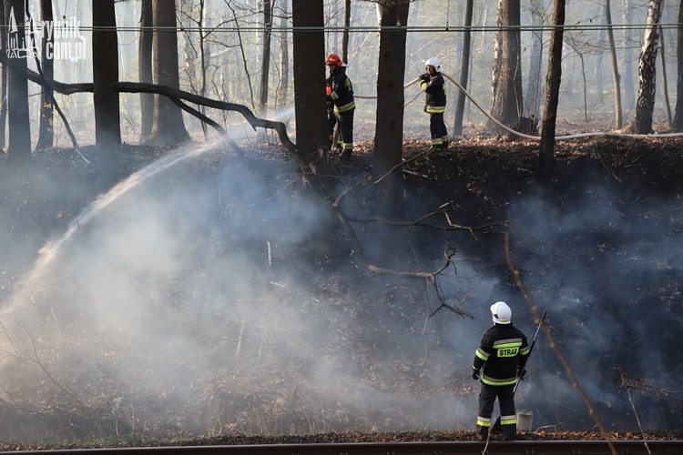 Pożar w lesie przy Mikołowskiej. Dromader na niebie, bf
