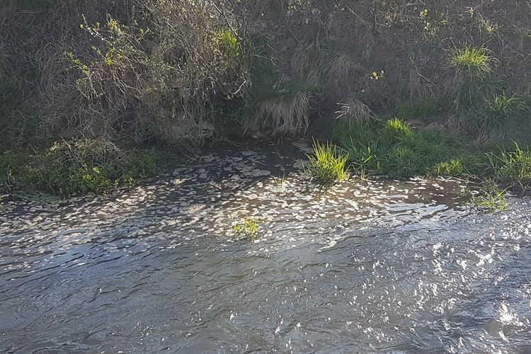 To rzeka, czy ściek? Ktoś zrobił „prezent na zajączka”, Aktywni Team Rybnik