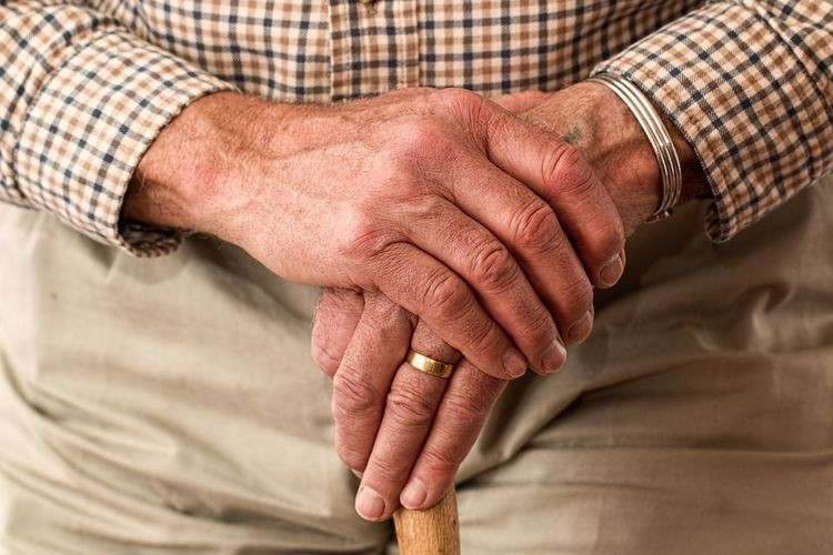 Coraz więcej pracujących emerytów: Śląskie w czołówce, Pixabay