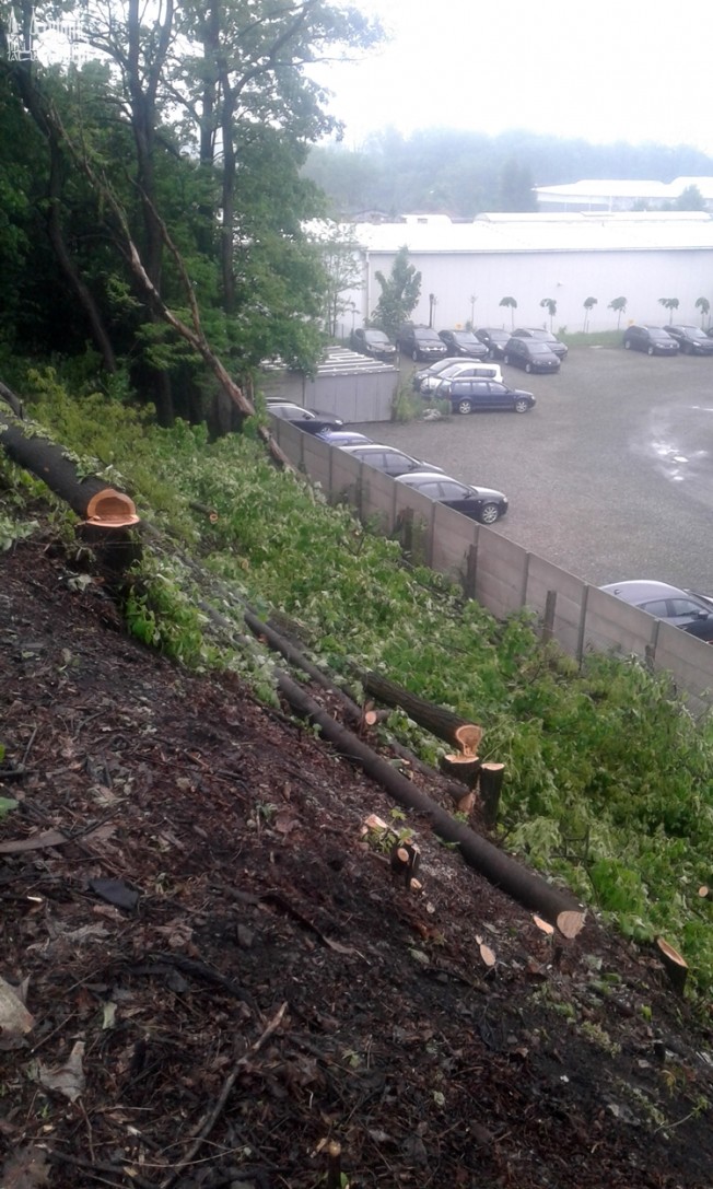 Przez Paruszowiec przeszło „tornado”. Kto wyciął drzewa na nasypie?, Czytelnik & bf