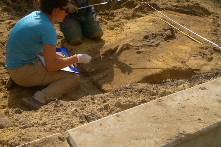 W centrum Rybnika znaleziono ludzkie kości!, Czytelnik