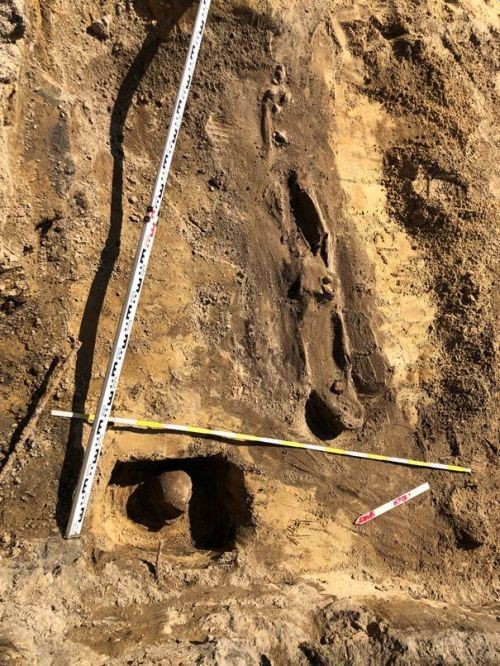 W centrum Rybnika znaleziono ludzkie kości!, ZZM