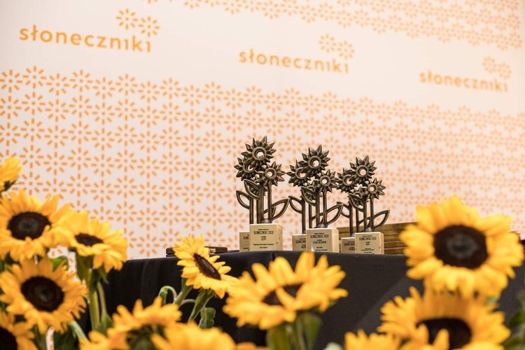 Nagroda „Słoneczniki” dla „Festiwalu Raj NajNaj” z DK Chwałowice, Materiały prasowe