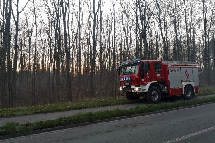 Pożar lasu w Boguszowicach. Poderwano dromadera, bf