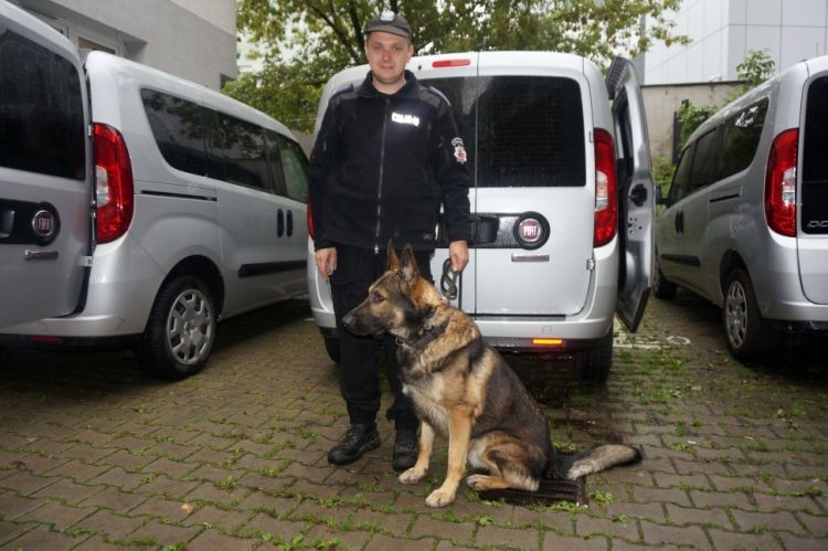 Pies wywęszył złodzieja akumulatorów, KMP Rybnik