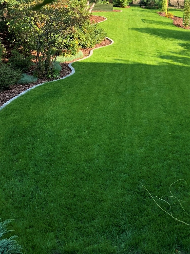 Jak prawidłowo zadbać o trawnik, by wyglądał zjawiskowo?, Materiał Partnera