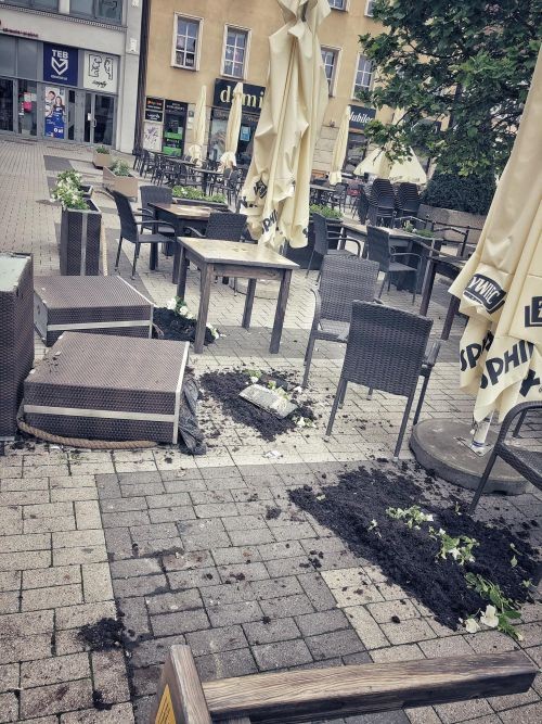 Wandal zdewastował ogródek na rynku (zdjęcia, wideo), Facebook/Bartosz Anioł