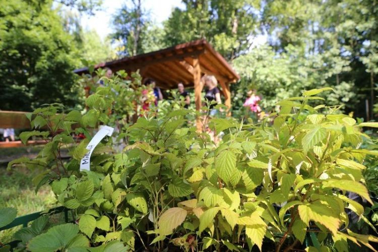 Pensjonariusze MDPS będą jedli rośliny z własnego ogródka, Wacław Troszka