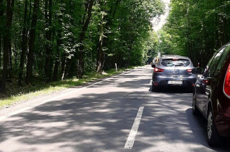 Kierowcy stoją w potężnych korkach na Mikołowskiej. Dlaczego drogowcy nie pracują w nocy?, Internauta Kamil