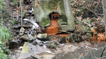Do rzeki przedostają się toksyny. Kto zanieczyszcza rzekę Bierawkę?