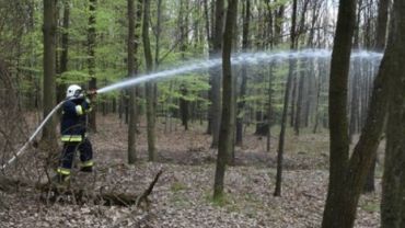 Czytelnicy alarmują: „strażacy jechali w stronę Rud. Czy pali się las”? To ćwiczenia