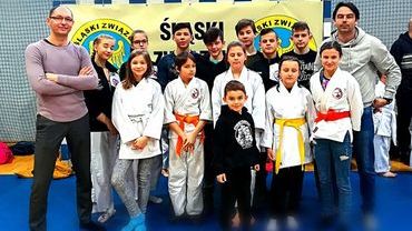 Ju jitsu: reprezentanci RKJJS walczyli w Katowicach