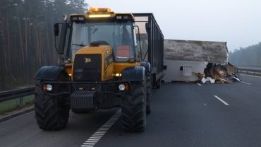 Traktor przewoził autostradą wielbłądy i lamy. Więcej informacji i zdjęć z porannego zderzenia