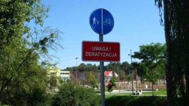 Uwaga! Trwa deratyzacja bulwarów nad Nacyną