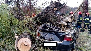 Wieje w regionie, drzewo zniszczyło samochód