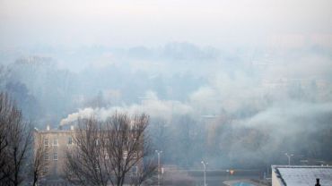 Czyste Powietrze w praktyce to klapa – Polski Alarm Smogowy krytycznie o realizacji rządowego programu