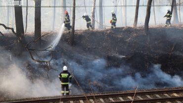 Pożar w lesie przy Mikołowskiej. Dromader na niebie