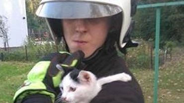 Chwałowiccy strażacy pomagają bezdomnym zwierzętom