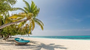 Wakacje na Malediwach? Sprawdź kiedy warto odwiedzić te malownicze wyspy