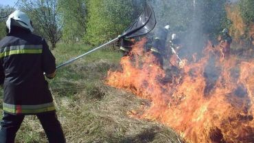 Woś: będą surowsze kary za wypalanie łąk