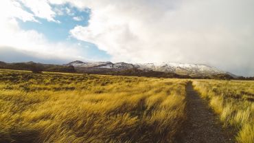 Żółty Młynek: „Iść własną drogą - Patagonia”