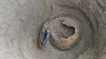 Ludzkie szczątki na prywatnej posesji w Żytnej. Odkopano już 3 czaszki!