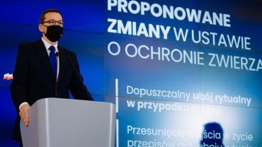 „Piątka dla zwierząt” pogrzebie aktywistów? „To będzie tragedia”