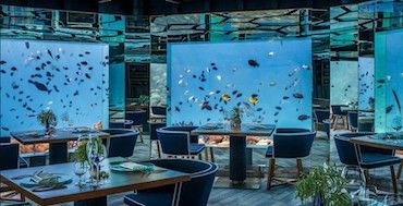 Niezwykłe luksusowe hotele na Malediwach, które chciałbyś odwiedzić