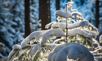 Synoptycy ostrzegają: znów spadnie śnieg i będzie zimno