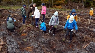 Przedszkolaki z Rybnika zasadziły ponad 1500 drzew!