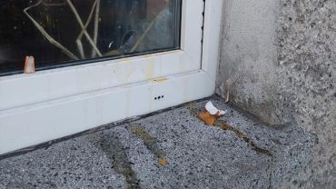 W okno radnej PiS poleciały jajka. „Mam nadzieję, że to zwykły akt wandalizmu”