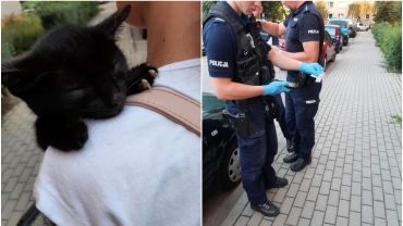 Chabrowa: pijany mężczyzna katował kota. Agresora obezwładnili policjanci