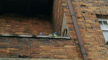 Dlaczego kobieta wypadła z balkonu na Kościuszki? Sprawę przejęła prokuratura