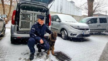 Policjant i pies 