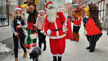 Mikołaj rozdawał pluszaki na rybnickim rynku. Finał akcji Pet Patrol (zdjęcia)