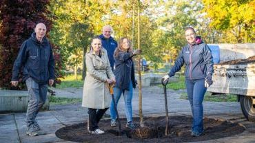 Kieszonkowy las powstanie w centrum Rybnika