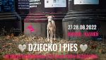 2000 psich piękności zjedzie do Rybnika. Przed nami III Międzynarodowa Wystawa Psów Rasowych